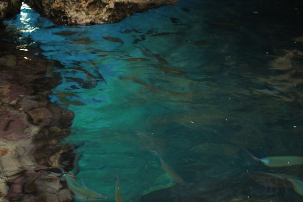 Snorkelling at The Akrotiri Beach Resort Hotel