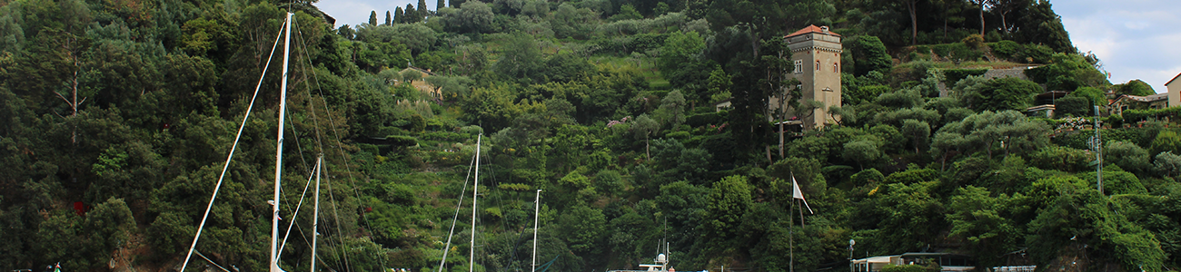 Green hills around Portofino harbour, Italy.